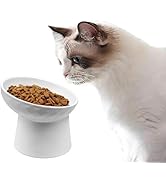 Amazon | Vevesoas 猫用フードボウル 陶器製 猫 皿 食器 15度の